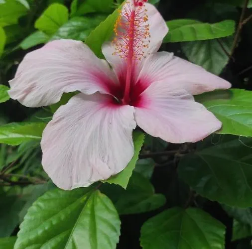 Casa de Férias La Playa Del Sol Tropea