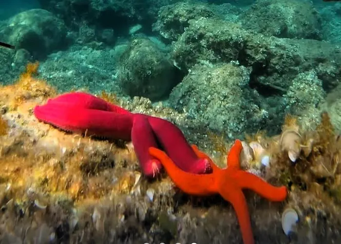 Casa de Férias La Playa Del Sol Tropea *